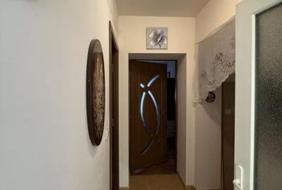 Casa individuala 2 camere, 80mp utili, 997 teren in Utvin - 9