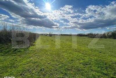 Spațiu comercial, în Râncăciov - 3