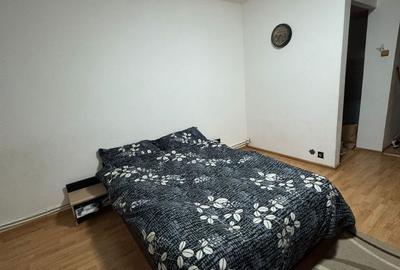 Garsonieră semidecomandată în Brazda lui Novac - 5