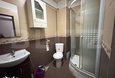 Apartament cu 2 camere decomandat în Brazda lui Novac - 6