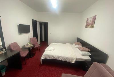 Garsonieră decomandată în Băile Felix - 2