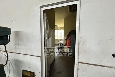 Spațiu comercial, de 929 mp, în Sânandrei