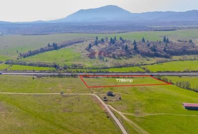 Teren 7786 mp/Curți construcții/Benzinărie - 1