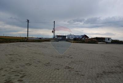 Spațiu industrial, de 1,120 mp, în Dumbrăveni - 7