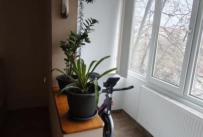 Apartament cu 4 camere decomandat, mobilat în Steaua - 10