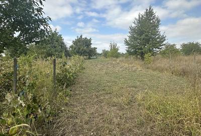 Teren de 1655 mp, în Aroneanu - 6