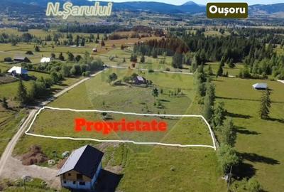 Teren intravilan in Suceava,Neagra Sarului,3002m.p.la 20km de V.Dornei - 9