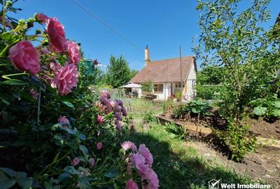 Colt de Rai in Mera – Casa cu Gradina si Livada, la doar 14 km de Cluj-Napoca - 7