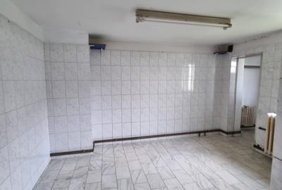 Imobil format din 2 corpuri individuale,un singur proprietar, zona Iancului - 11