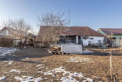 Gospodarie autentică bănățeană, cu teren generos și livadă – Frumușeni - 15