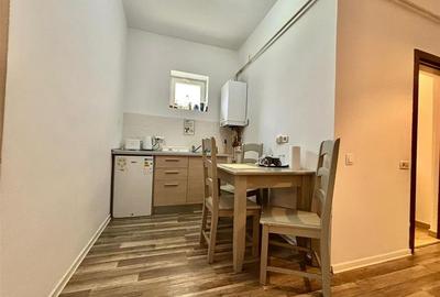 Studio Cochet PetFriendly Predeal - 5