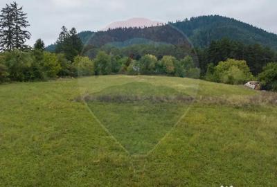 Teren de 3175 mp, în Poiana Angelescu - 16