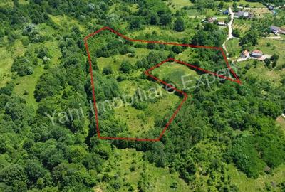 Teren de 20698 mp, în Valea lui Enache - 4