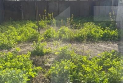 Oportunitate-Casa cu 3 camere, 110 mp, 450 mp teren, zona ul - 2