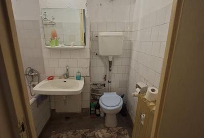 Obor,Colentina,stradal,Teiul Doamnaei 15 minute metrou - 11