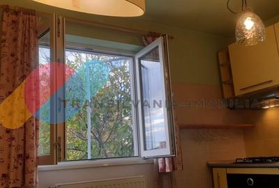 Apartament 57 m² utili in vila,zona Plevnei - 11