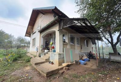 Casă cu 3 camere cu Teren 3088 Mp în Viile Satu Mare - 7