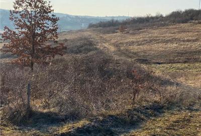 Teren de 1250 mp, în Spitalul Județean - 3