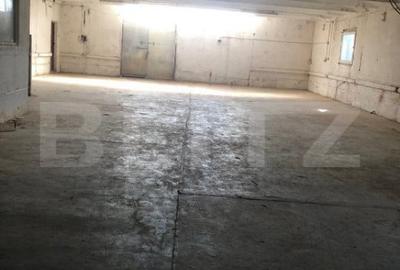 Spațiu comercial, de 1,200 mp, în Botiz - 13