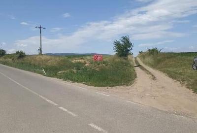 De vanzare teren intravilan la intrarea in Arcus - 13