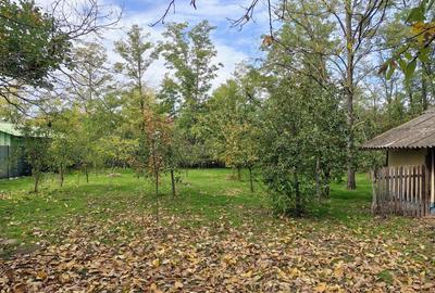 Casă cu 4 camere în Vlad Țepeș - 7