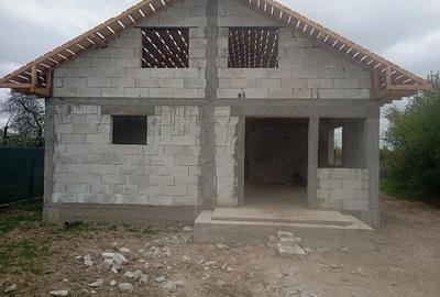 Casă cu 3 camere cu Teren 1700 Mp în Jugureni