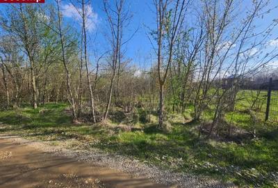 Teren de 1575 mp, în Bălteni - 3