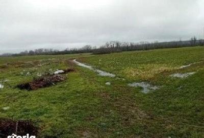 Teren de 833 mp, în Stolnici - 5