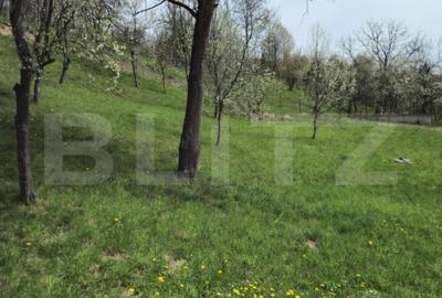 Casă cu 5 camere cu Teren 3000 Mp în Runcu - 6