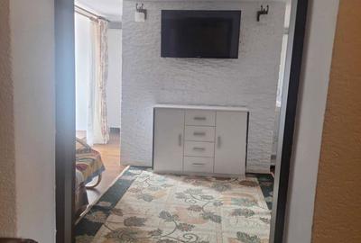Apartament cu 2 camere decomandat în Gura Râului - 6