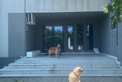 Casă individuală cu 5 camere cu Teren 1000 Mp în Odăi - 2