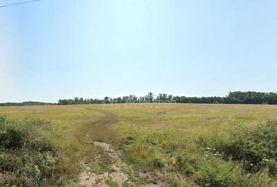 Forotic, Teren Drept Pentru Investitie, 13.2 Hectare (132.00 - 5