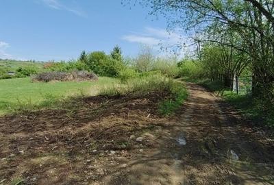 Teren extravilan 2.500 mp - Cisnadie - ideal pentru dezvoltare - Parcelabil - 4