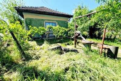 Casă individuală cu 2 camere cu Teren 3742 Mp în Coșoveni - 2