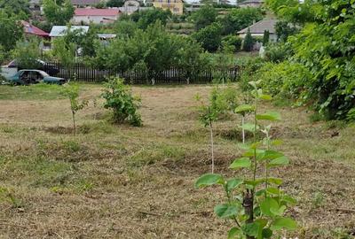 Teren de 1032 mp, în Somova - 7