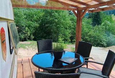 Proprietate de vanzare in Bucovina Breaza zona Paraul Negrei - 8