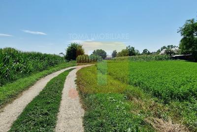 Teren intravilan 4.133 mp cu dublă deschidere – Girov, Neamț | Toma Imobiliare - 6