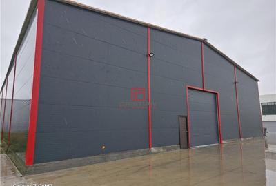 Spațiu comercial, de 600 mp, în Theodor Pallady - 12
