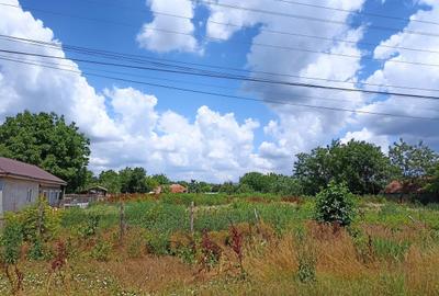 Teren de 2562 mp, în Curcani - 1