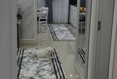 Apartament cu 3 camere decomandat în Cug - 4