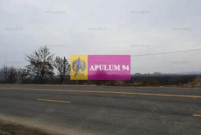 Teren de 13705 mp, în 1 Decembrie - 7