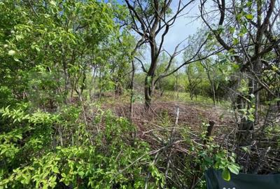 Teren de 1527 mp, în Central - 5