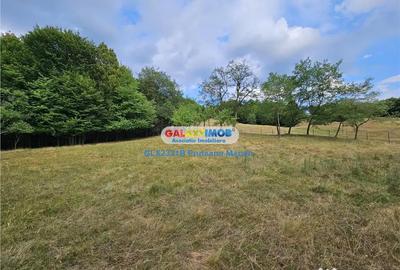 Teren de 2700 mp, în Curtea de Argeș - 4