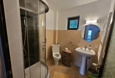 Casă cu 5 camere cu Teren 6842 Mp în Brădetu - 3