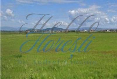 Spațiu comercial, în Florești - 1