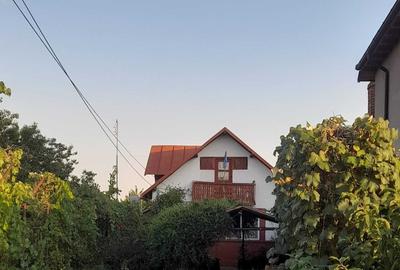 Casă cu 3 camere cu Teren 584 Mp în Negoiești - 2