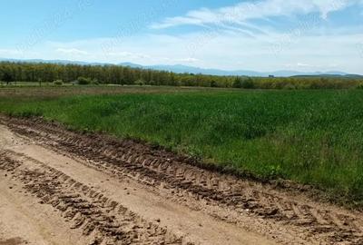 Teren de 2200 mp, în Valea Crișului - 4