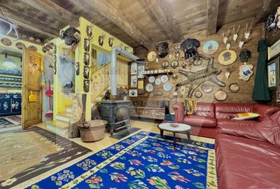 Cabana rustica de vis pe Valea Avrigului – un colt de rai in mijlocul naturii - 15