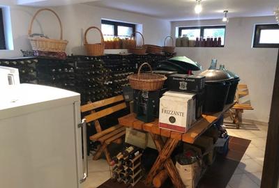 Vila deosebita, S+P+1E+M, teren 800 mp, Sos Oltenitei- Paraul Rece - 9