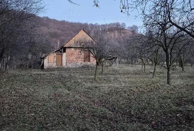 Teren de 6937 mp, în Sălătrucu